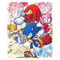 Sonic Generations - Poster Print